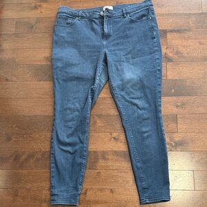 LOFT Women's Classic Blue Skinny Jeans